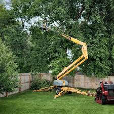 Best Tree Risk Assessment  in Heeia, HI