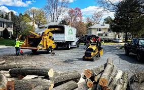Best Hazardous Tree Removal  in Heeia, HI