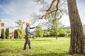 Best Tree Health Inspection  in Heeia, HI
